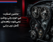 ماشین استارت می‌خورد ولی روشن نمی‌شود